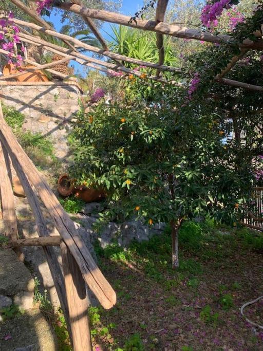 Villa Hermosa Costiera Amalfitana Zewnętrze zdjęcie